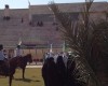 بازسازي مراسم عيد غدير در زابل
