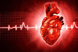 شبیه سازی پرتوهای فراصوت برای تشخیص گرفتگی عروق کرونر قلب