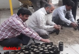 شهرداری زابل اقدام به کشت بذر چای ترش نمود