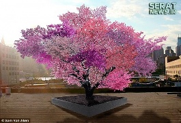 درختی که 40 نوع میوه می‌دهد+عکس