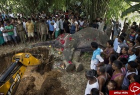 مراسم تدفین یک فیل + تصاویر