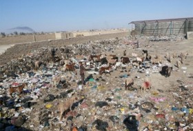 پاکسازی محله  شیخ آباد از زباله/ زباله ها به محل جدید منتقل می شود