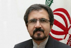 قاسمی: ایران هیچ اطلاعی از حضور اعضای القاعده در خاک خود ندارد