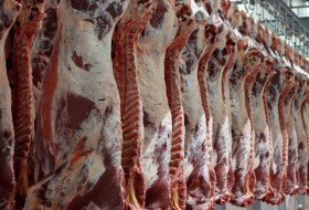 مردم از درد نداری به خود می‌پیچند/ رونق اقتصادی با الزام واردکنندگان گوشت کشور به خرید گوشت از واحدهای تولید گوشت استان