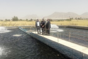توزیع ۳۶ هزار قطعه بچه ماهی در شهرستان زابل