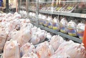 قیمت مرغ تنظیم بازاری چقدر است؟