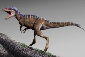 کشف دایناسوری کوچک‌تر از انسان