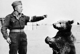 ماجرای خرس جنگجوی ایرانی که در جنگ جهانی دوم به نبرد نازی‌ها رفت + تصاویر