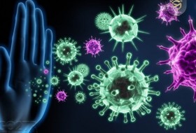 راه های تقویت سیستم ایمنی  بدن در برابر ویروس کرونا