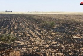 مقام سوری: آمریکایی‌ها مزارع گندم سوریه را آتش می‌زنند