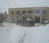 گزارش تصویری از برف زمستانی در زابل