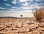 بحران خشکسالی و چالشی به نام «آب» در حوزه پُر باران ایران/ الگوی کشت، طرحی که ابتر ماند